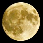 Sturgeon Moon August