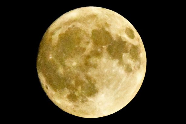 Sturgeon Moon August