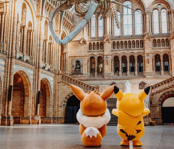 Pokémon Pop-Up