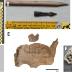 600-Year-Old Artefacts Found in Vulture Nests