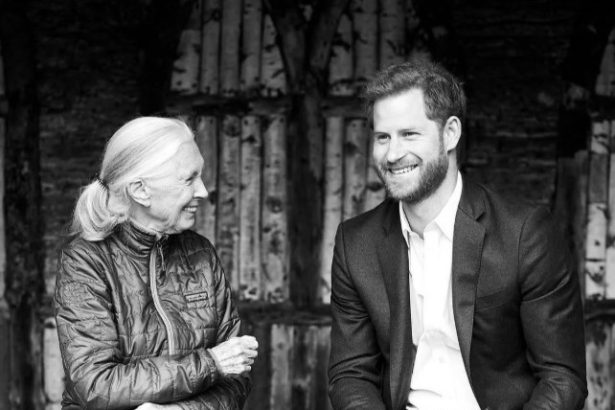 Prince Harry and Jane Goodall