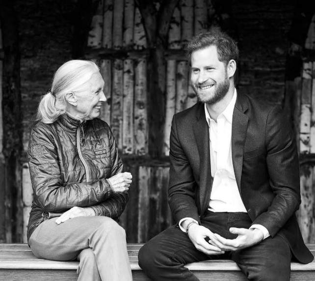 Prince Harry and Jane Goodall