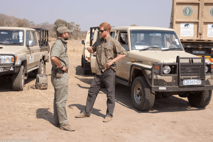 Prince Harry