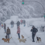 Winter Snowfall