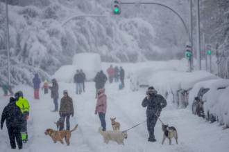 Winter Snowfall