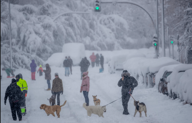 Winter Snowfall