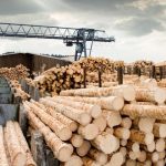 National Timber Group