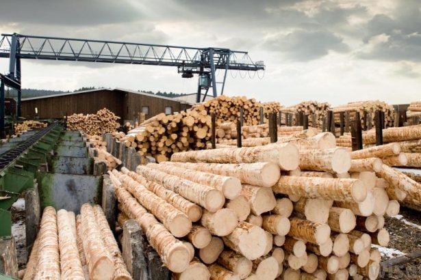 National Timber Group