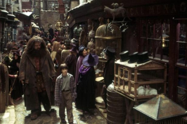 ‘Harry Potter’ Set