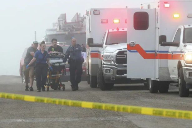 Mexican Navy plane crash