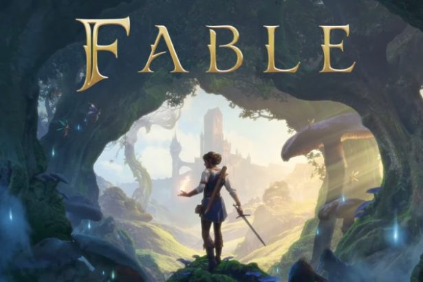 Fable Gameplay