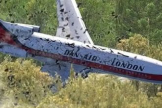 The Dan Air Disaster