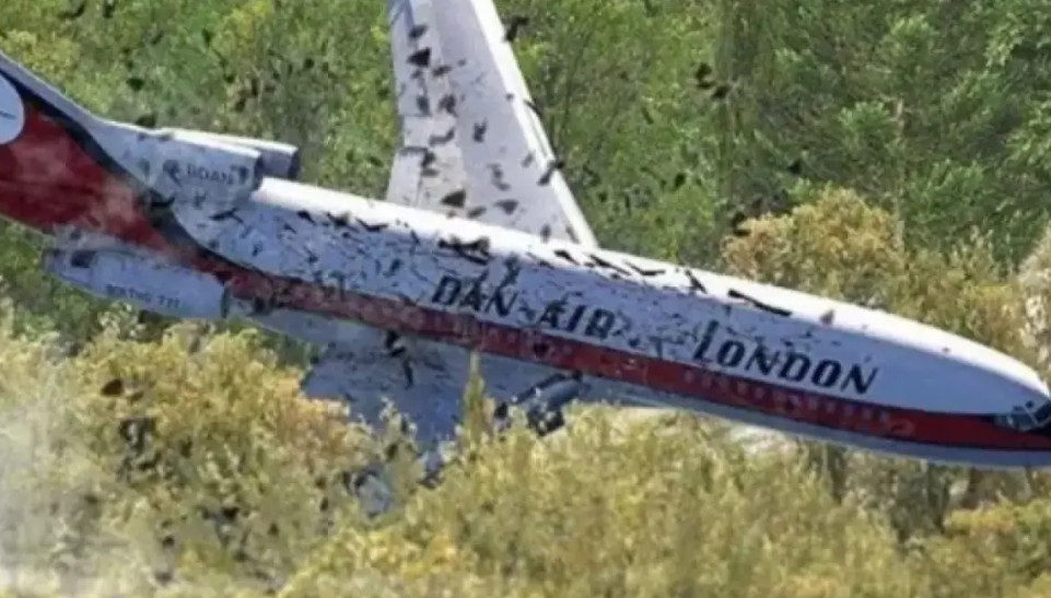 Tenerife Flights Dan Air Crash That Killed 146 Britons