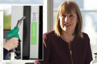 Rachel Reeves fuel duty