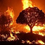 Wildfire warning in Dartmoor National Park
