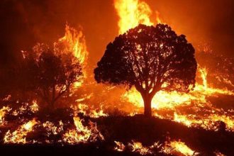 Wildfire warning in Dartmoor National Park