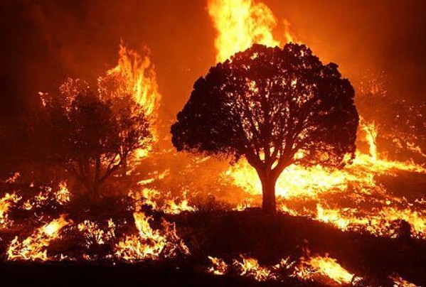 Wildfire warning in Dartmoor National Park